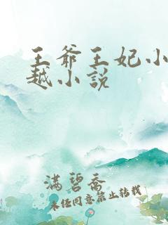 王爷王妃小说穿越小说