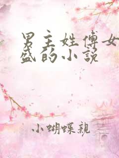 男主姓傅女主姓盛的小说