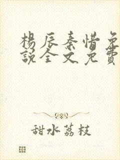 杨辰秦惜免费小说全文免费阅读