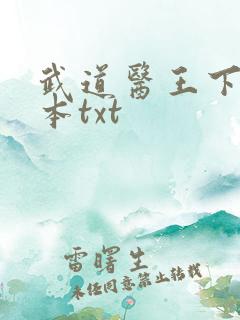 武道医王下载全本txt