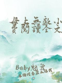 母上无敌小说免费阅读全文