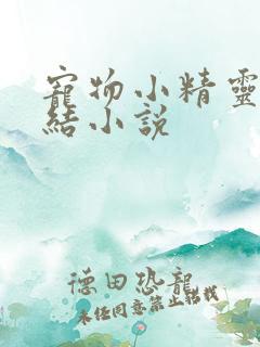 宠物小精灵已完结小说