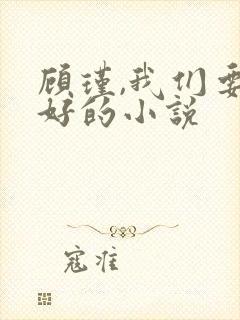顾瑾,我们要好好的小说