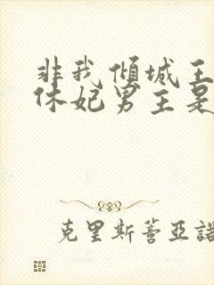 非我倾城王爷要休妃男主是谁