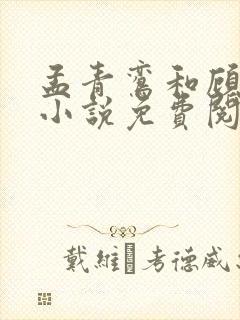 孟青鸾和顾琛的小说免费阅读
