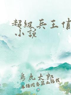超级兵王俏总裁 小说
