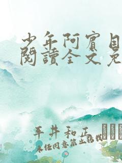 少年阿宾目录线阅读全文免费阅读
