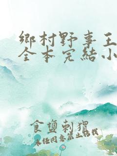 乡村野事王小二全本完结小说免费阅读