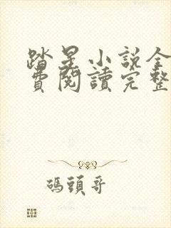 踏星小说全文免费阅读完整版无弹窗