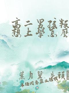 高二男孩叛逆不想上学怎么办啊