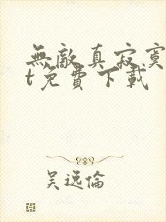 无敌真寂寞txt免费下载