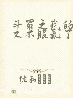 斗罗之我的系统又不服气了笔趣阁
