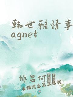 韩世雅情事,magnet