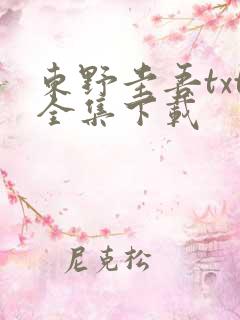 东野圭吾txt全集下载