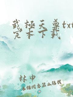 武极天尊txt完本下载