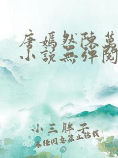 唐嫣然陈万里的小说无弹阅读