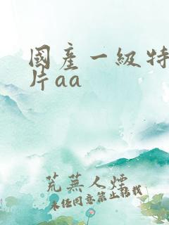 国产一级特黄大片aa