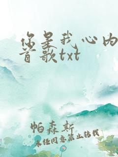 你是我心内的一首歌txt