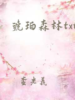 琥珀森林txt