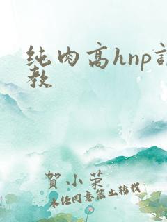 纯肉高hnp调教