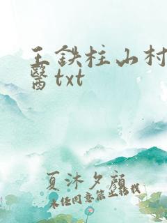 王铁柱山村小神医txt