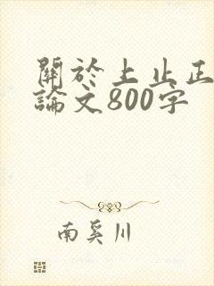 关于上止正的议论文800字
