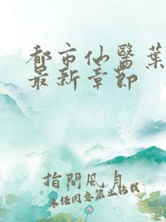 都市仙医叶不凡最新章节