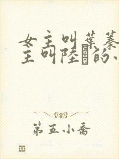 女主叫叶蓁蓁男主叫陆玦的小说