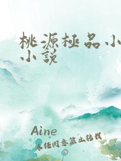 桃源极品小仙医小说