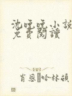 沈晚晚小说全文免费阅读