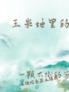 玉米地里的情事