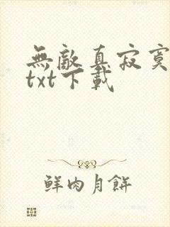 无敌真寂寞全文txt下载