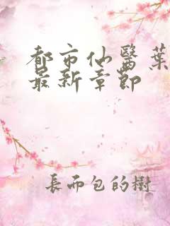 都市仙医叶不凡最新章节