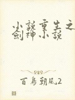 小说重生之最强剑神小说