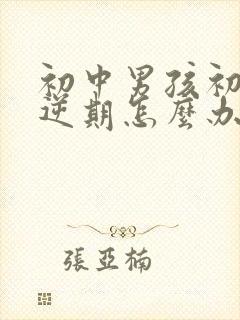 初中男孩初中叛逆期怎么办