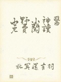 山野小神医全文免费阅读