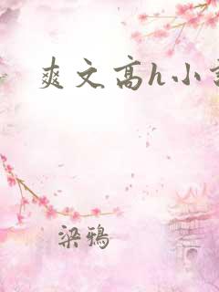 爽文高h小说