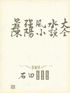 最强风水大相师陈阳小说全文免费阅读