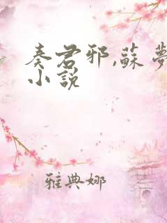 奏君邪,苏梦安小说