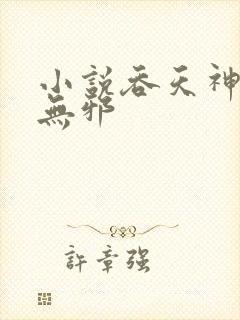 小说吞天神鼎柳无邪