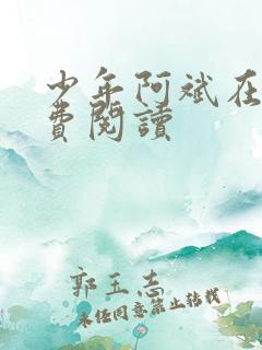 少年阿斌在线免费阅读
