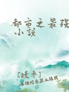都市之最强仙医 小说