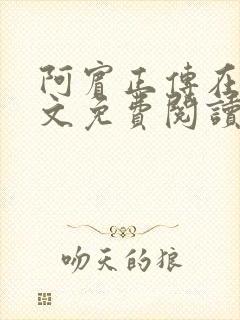 阿宾正传在线全文免费阅读无删减