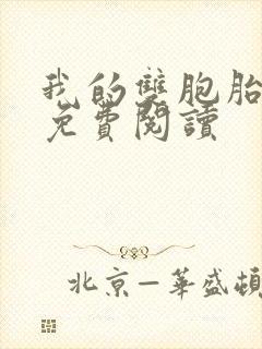 我的双胞胎老婆免费阅读