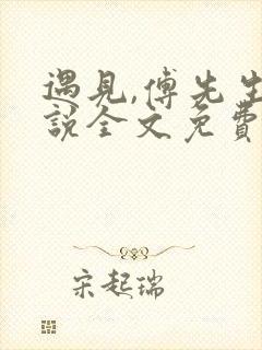 遇见,傅先生小说全文免费阅读
