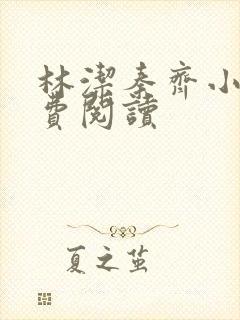 林洁秦齐小说免费阅读