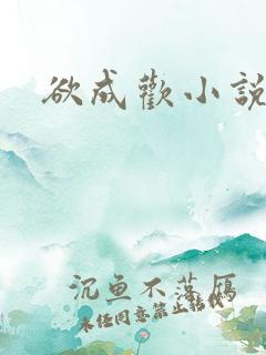 欲成欢小说