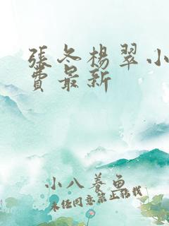 张冬杨翠小说免费最新