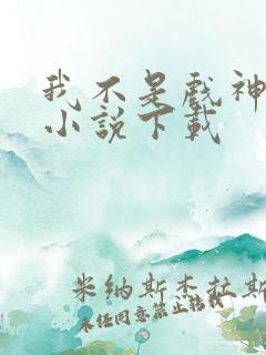 我不是戏神有声小说下载