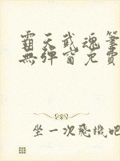 霸天武魂笔趣阁无弹窗免费阅读